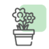 Flowering Plants
