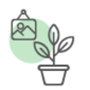 Indoor Plants Online