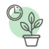 Same Day Plants Delivery