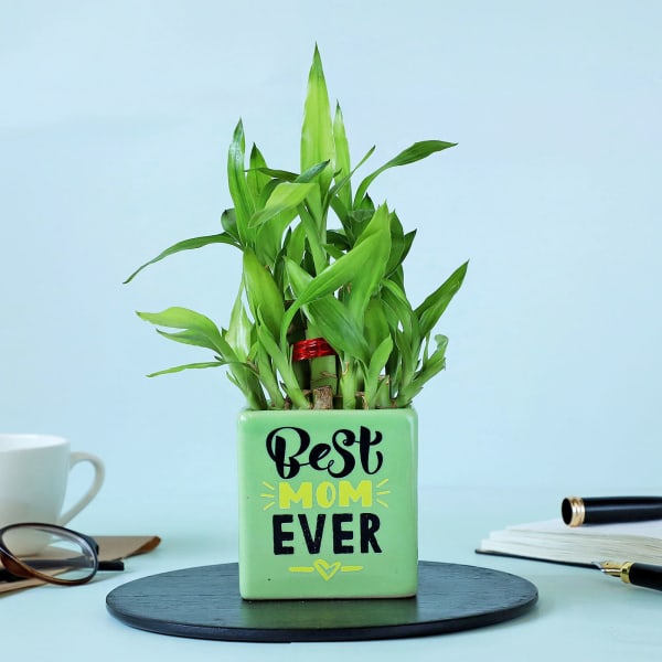 2 Layer Bamboo Plant In Best Mom Ever Ceramic Planter