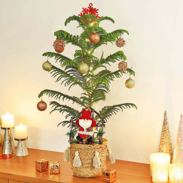 Araucaria Xmas Tree In Jute Basket With Decorations