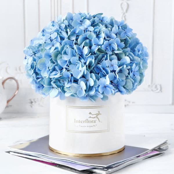 Blue Beauty Flower Box