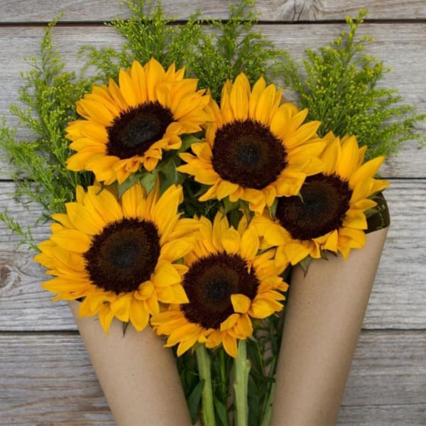 Hello Sunshine - 5 Sunflowers Bouquet