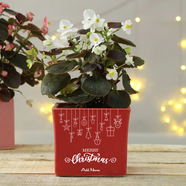 Merry Christmas Personalized Ceramic Planter