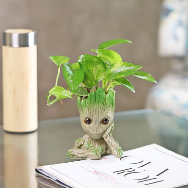 Money Plant in a Baby Groot Planter