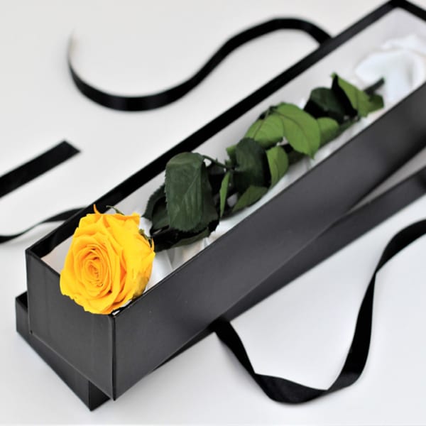 Single Yellow Rose In A Premium Gift Box