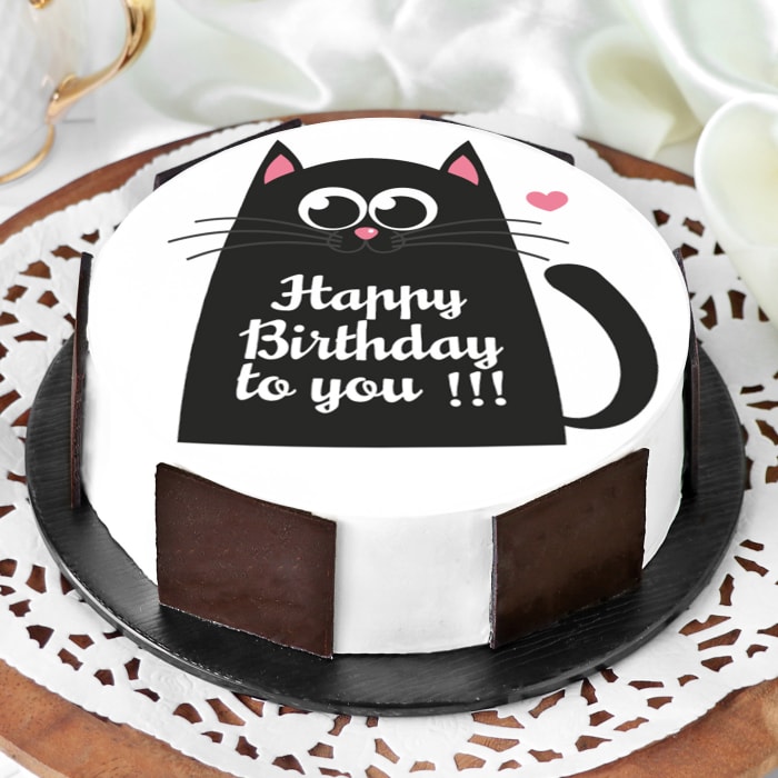 Order Black Cat Birthday Cake Half Kg Online At Best Price Free Delivery Igp Cakes