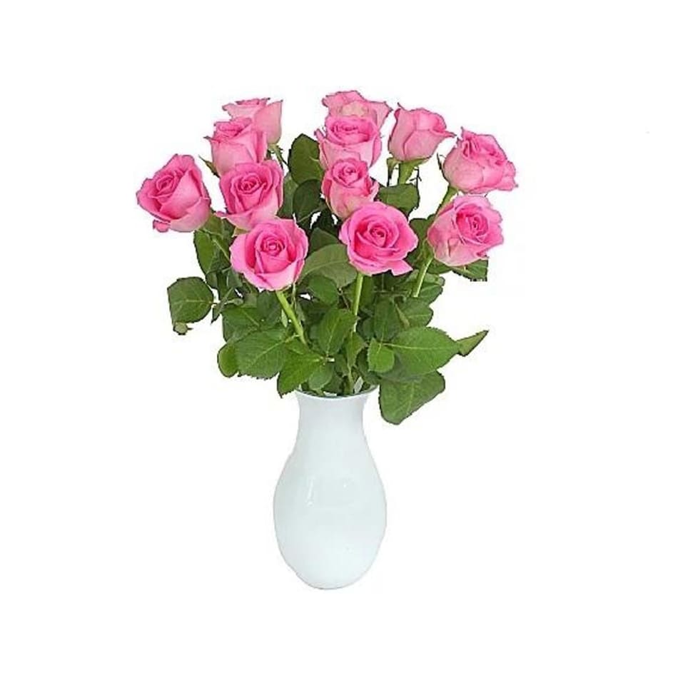 Judith Goss Florists Online Flower Gift Shop | Sameday Flower Delivery  Taunton | Taunton Florists | Taunton Interflora Florist | Flower Delivery