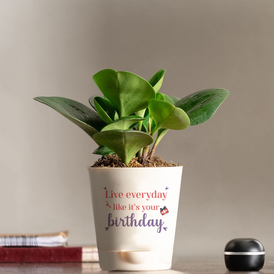 40th Birthday Personalised Plant Pot 40th for Gardener Lovers, Home Decor  Unique Gift - Etsy