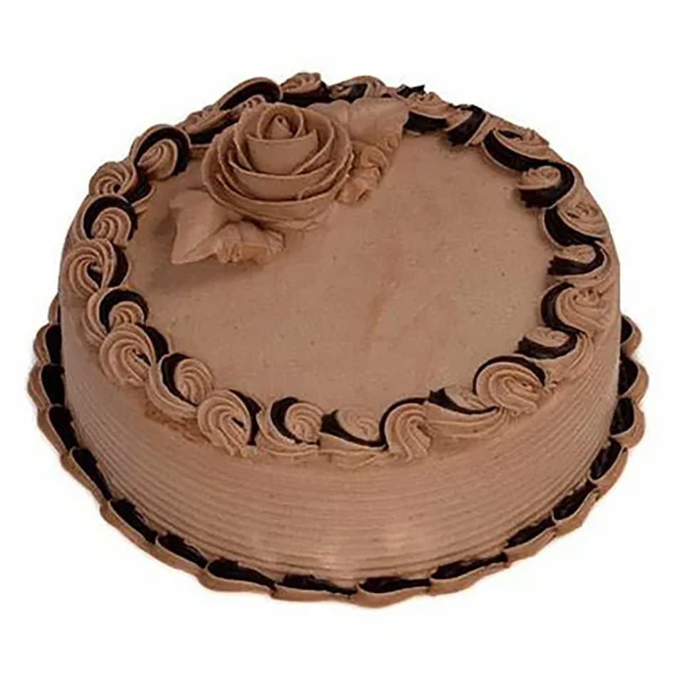 Chocolate Cake - Back to Basics - Jane's Patisserie