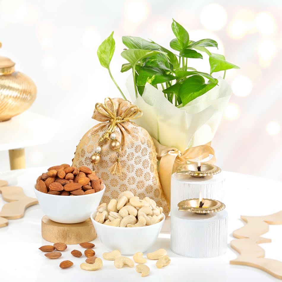 Dry Fruits Gift Basket in Bhopal | Affordable Gift for Every Occasion |  Choco-n-Nuts