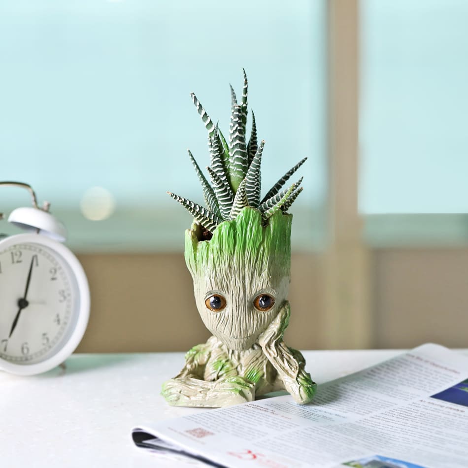 Haworthia Succulent in a Groot Planter: Gift/Send Plants Gifts Online  JVS1192011