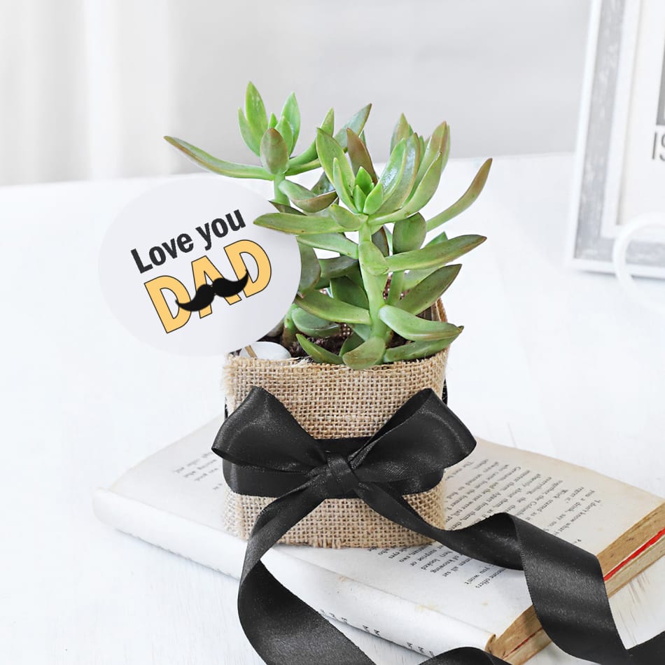 9 Amazing Plant Gift Ideas For this Valentine's Day