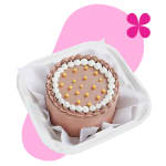 Bento Cake