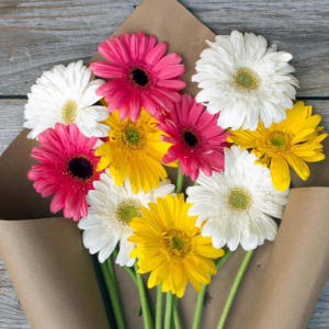 Order Kaleidoscope 10 Gerbera Daisies Bouquet Online at Best Price, Free  Delivery|IGP Flowers