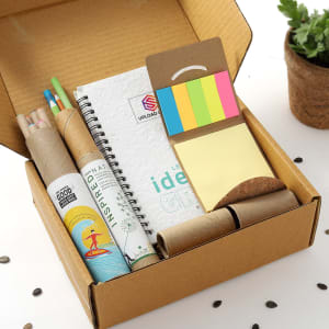 The Eco friendly Stationery Kit: Gift/Send Business Gifts Online JVS1203846  |