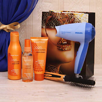 philips dryer brush