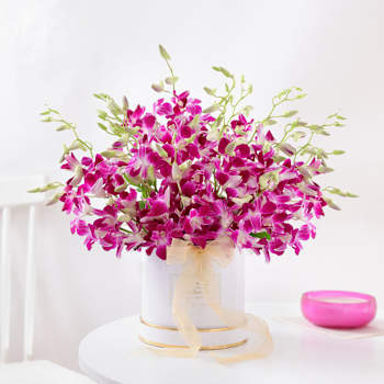 All Flowers