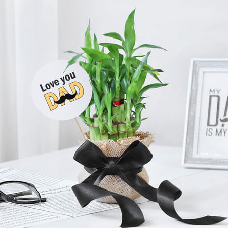 2-layer Lucky Bamboo In A Glass Vase For The Best Dad-picture-23