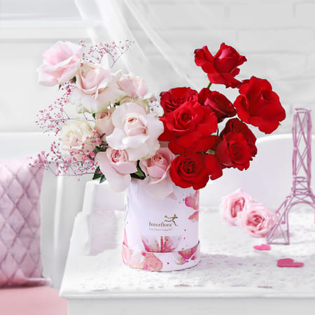 A Love Symphony-picture-12