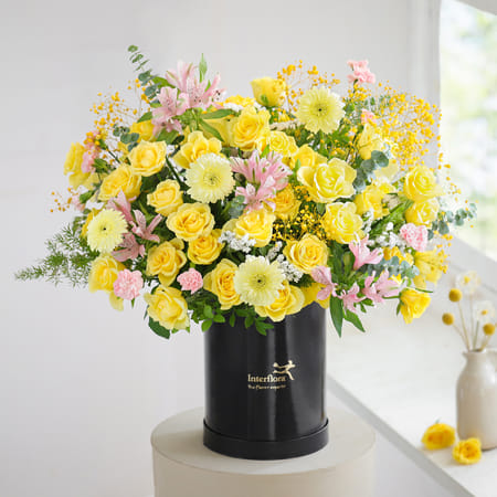 A Vibrant Purity-picture-21