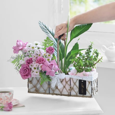 Eco Friendly Plant hampers