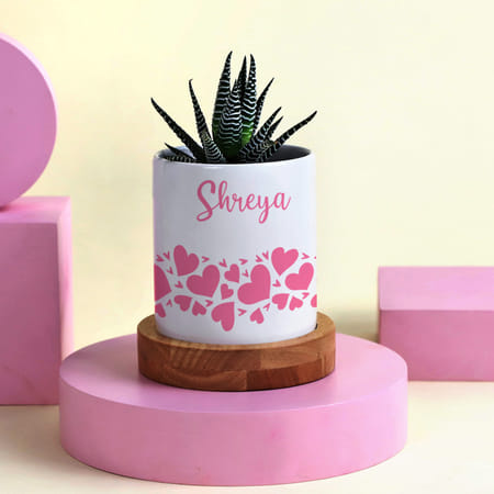 Attractive Haworthia with Personalized Vase-picture-16