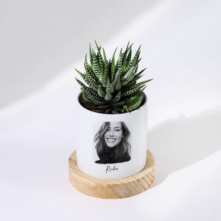 Beloved Memories - Haworthia Succulent With Pot - Personalized