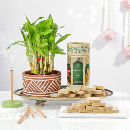 Blissful Bloom Diwali Gift Hamper-image-42