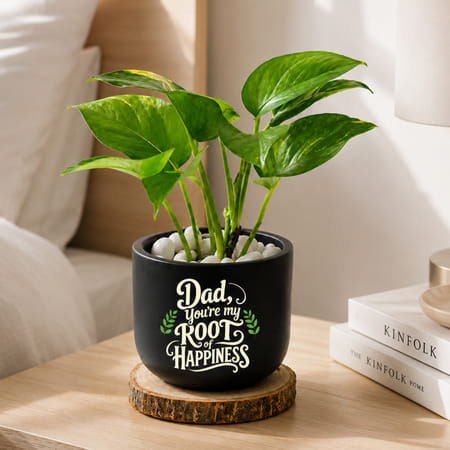 Blooming Money Plant In Black Planter For Dad-picture-50