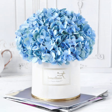 Blue Beauty Flower Box-picture-32