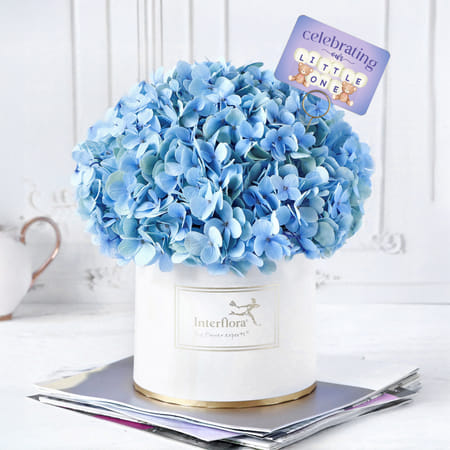 Blue Box of Heaven-picture-16