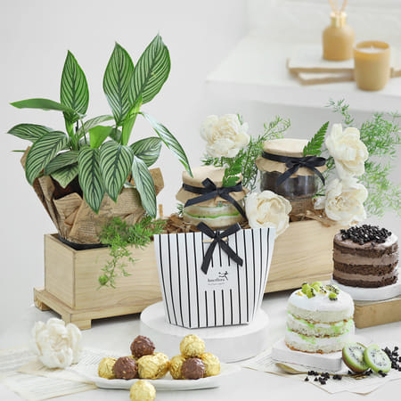 Calathea Wishes-picture-28