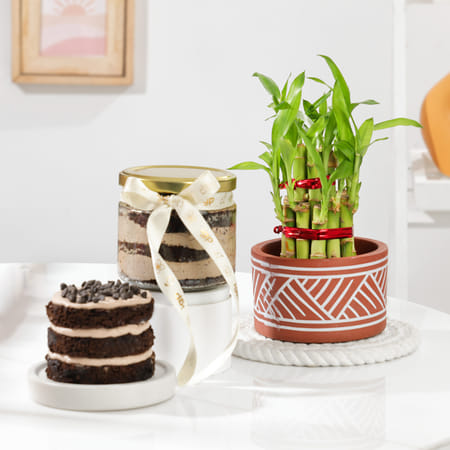 Charming Two-Layer Bamboo Plant And Jar Cake Combo