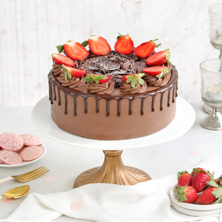 Chocolate Euphoria Cake (500 Gm)