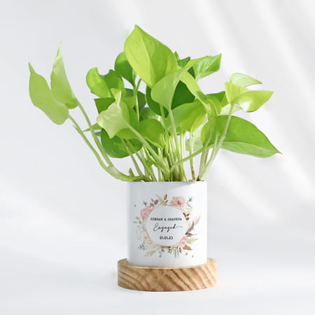 Eternity Bloom - Money Plant With Pot - Personalized-picture-36
