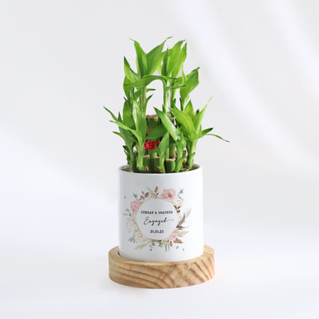 Everlasting Love - 2-Layer Bamboo Plant With Pot - Personalized-picture-43