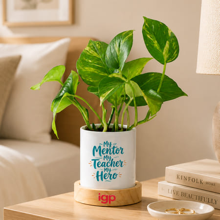 Father's Day Best Papaji Ever Money Plant With Pot-picture-27