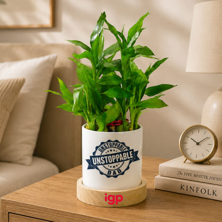Father's Day Dad Of The Century Bamboo Plant With Pot-picture-36