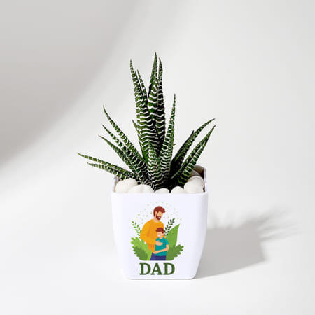 Father's Day Haworthia Plant In Blossom Planter-picture-43