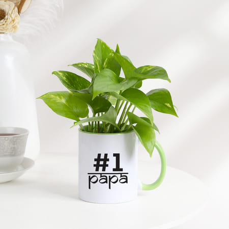 Father's Day No 1 Papa Money Plant In A Mug-picture-20
