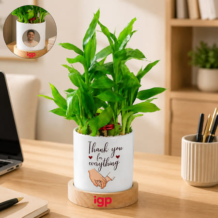 Father's Day Personalized Bamboo Plant With Planter-picture-29