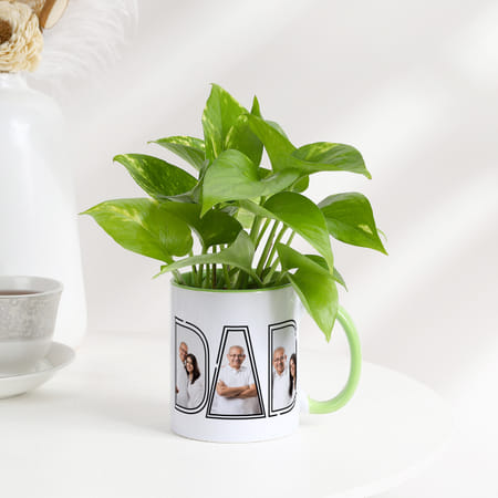 Father's Day Personalized Money Plant In A Mug-picture-32