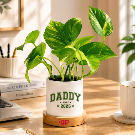 Father's Day Personalized Money Plant With Pot-picture-40