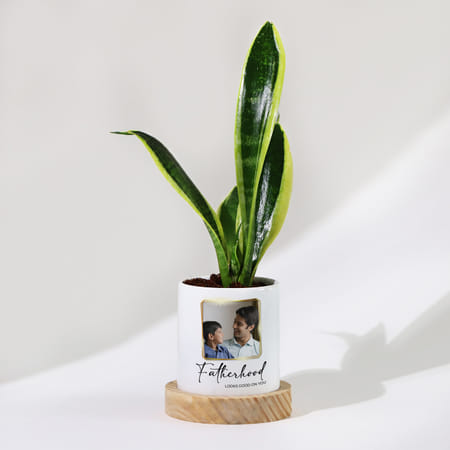 Father's Day Personalized Snake Plant With Pot-picture-40