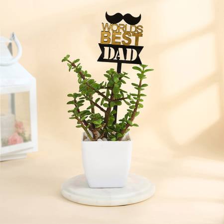 Father's Day World's Best Dad Jade Plant-picture-42