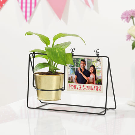 Forever Soulmates Personalized Money Plant Swing Planter