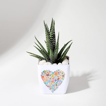 Forever Yours - Haworthia Succulent With Planter-picture-32
