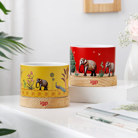 Garden Oasis Duo-picture-48