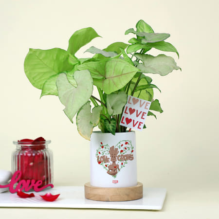 Green Love Syngonium with a Personalized Vase-picture-50